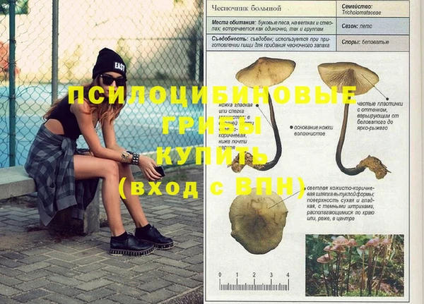 jwh Медногорск