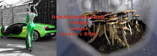 Альфа ПВП Медвежьегорск