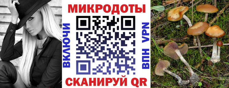 Галлюциногенные грибы MAGIC MUSHROOMS  Купить где  Покровск 